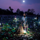 Image for article titled Five Striking Images Show How Solar Lanterns Are Transforming Life off the Grid